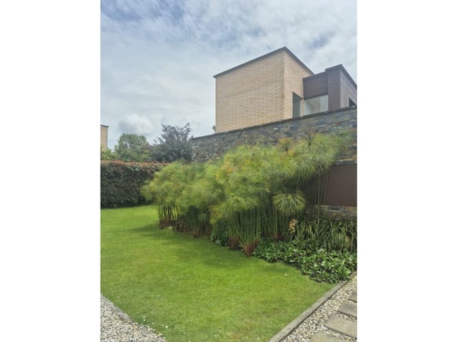 Casa de 4 alcobas en arriendo en Las Palmas, Medellín, 370 m² · foto 5 de 24
