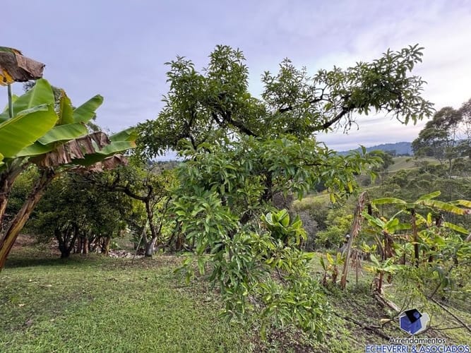 Lote en venta en Centro, Rionegro, 48950 m² · foto 3 de 20