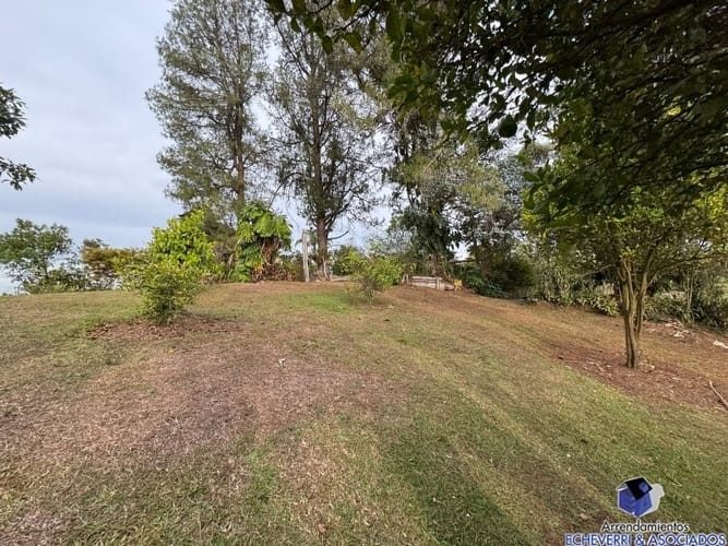 Lote en venta en Centro, Rionegro, 48950 m² · foto 4 de 20