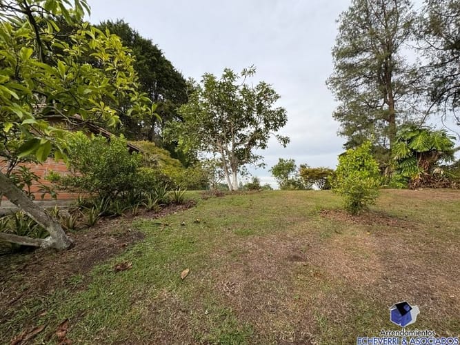 Lote en venta en Centro, Rionegro, 48950 m² · foto 8 de 20