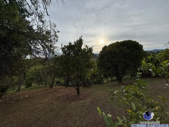 Lote en venta en Centro, Rionegro, 48950 m² · foto 13 de 20