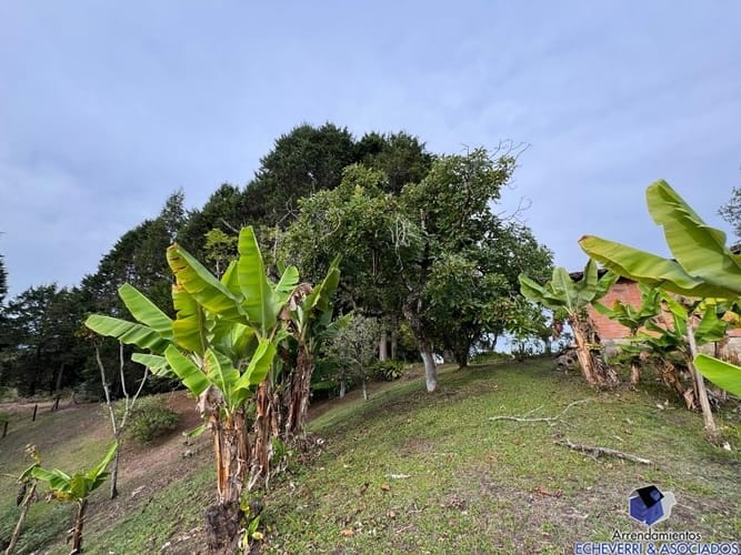 Lote en venta en Centro, Rionegro, 48950 m² · foto 14 de 20