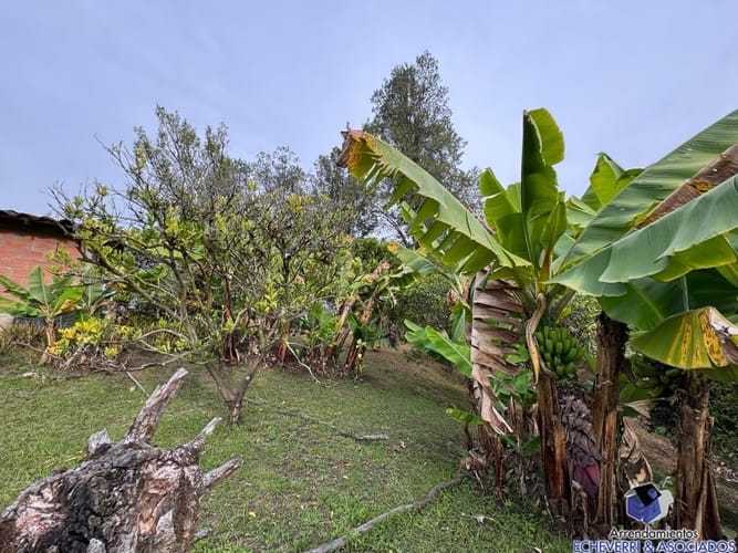 Lote en venta en Centro, Rionegro, 48950 m² · foto 16 de 20