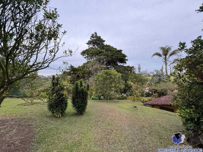 Lote en venta en Centro, Rionegro, 48950 m² · foto 18 de 20