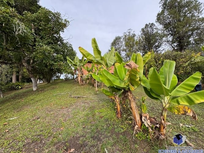 Lote en venta en Centro, Rionegro, 48950 m² · foto 20 de 20