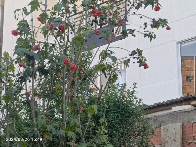 Casa de 4 alcobas en venta en Claret, Bogotá, 380 m² · foto 8 de 24