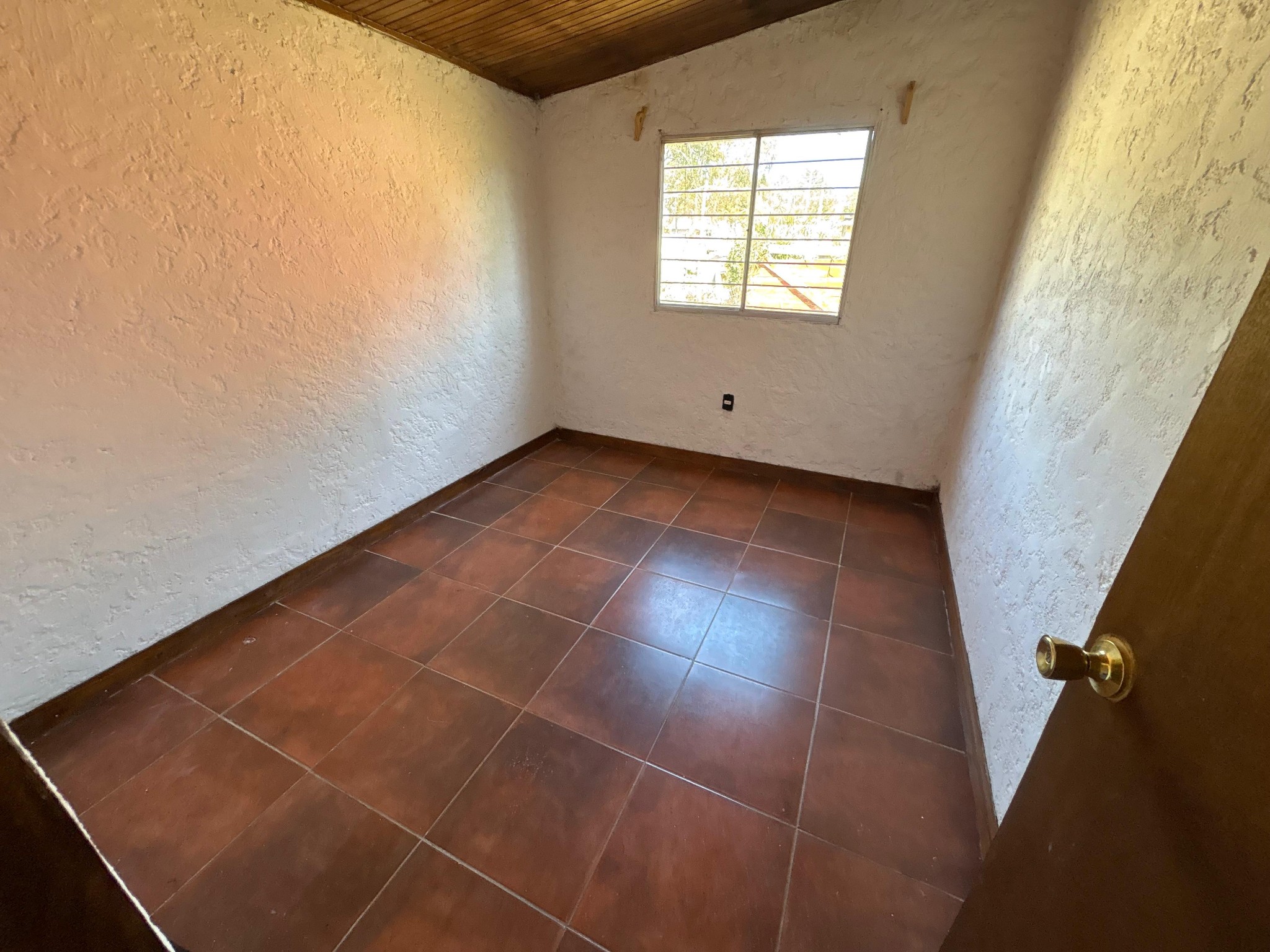 ALQUILER ANUAL LAS TOSCAS NORTE 187LT · Foto 10