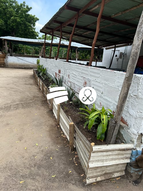 Lote en venta en Juan Mina, Barranquilla, 116 m² · foto 4 de 4