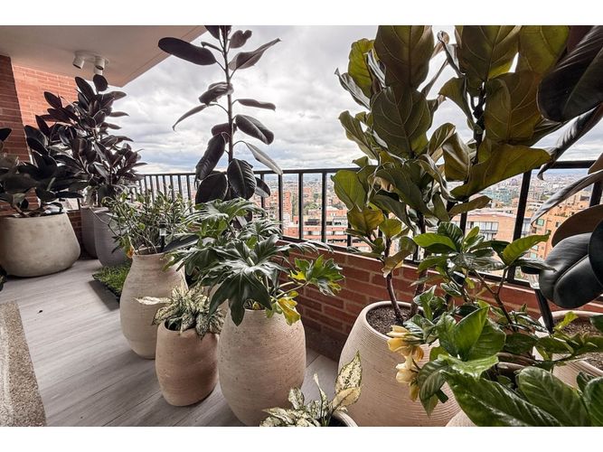 Apartamento de 3 alcobas en venta en El Retiro, Bogotá, 325 m² · foto 12 de 24