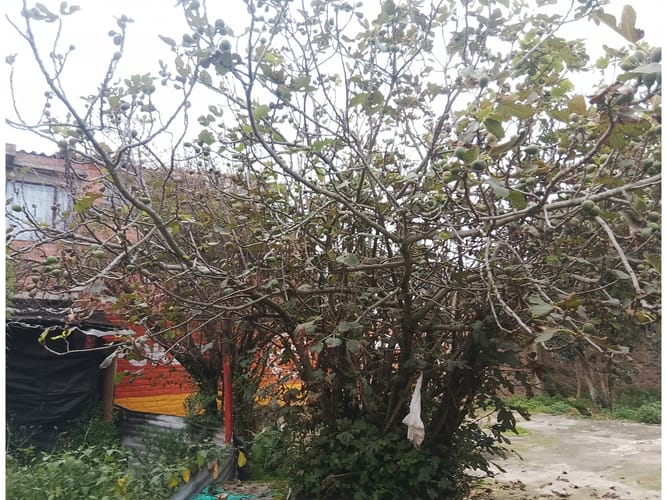 Lote en venta en La Concepcion, Zipaquirá, 441 m² · foto 13 de 20