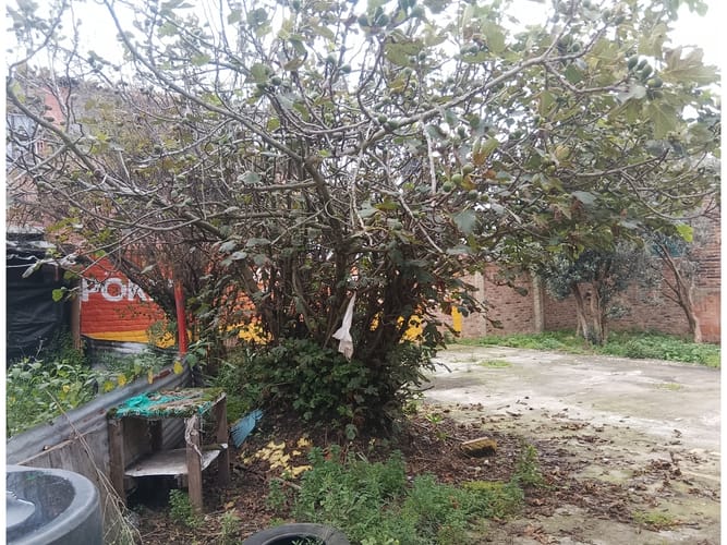 Lote en venta en La Concepcion, Zipaquirá, 441 m² · foto 14 de 20