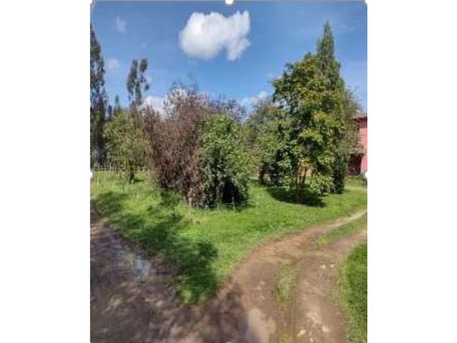 Finca en venta en Los Perez, Chía, 10200 m² · foto 4 de 24