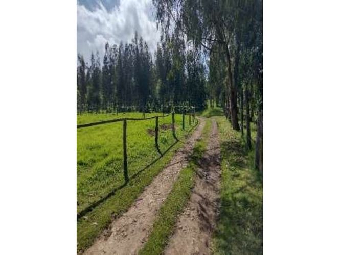 Finca en venta en Los Perez, Chía, 10200 m² · foto 5 de 24