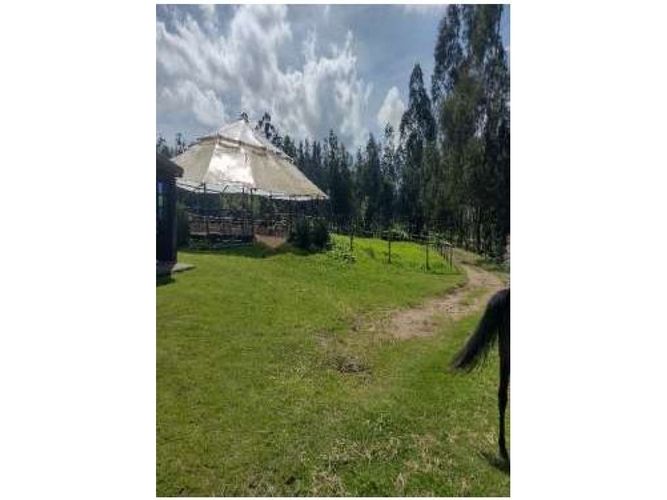 Finca en venta en Los Perez, Chía, 10200 m² · foto 6 de 24