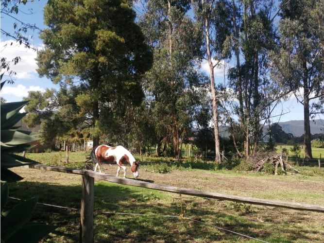 Finca en venta en Los Perez, Chía, 10200 m² · foto 13 de 24