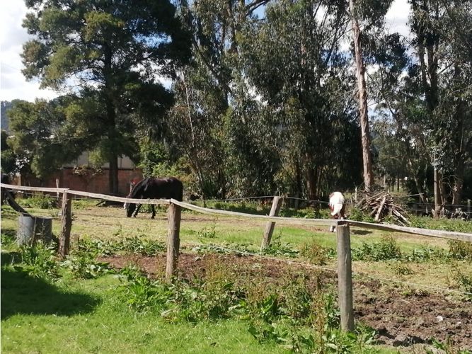 Finca en venta en Los Perez, Chía, 10200 m² · foto 19 de 24