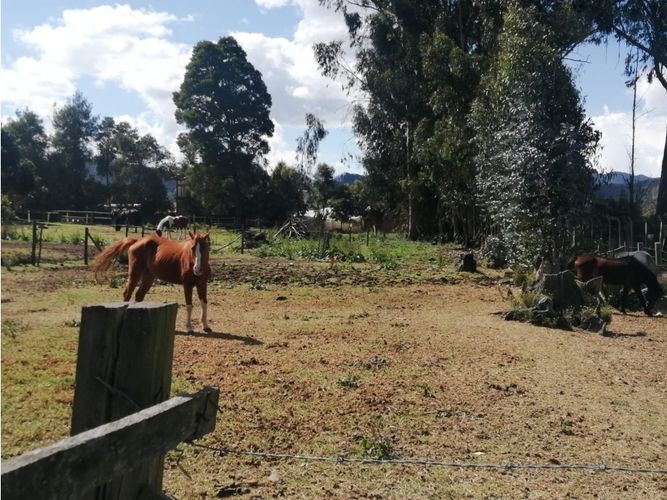 Finca en venta en Los Perez, Chía, 10200 m² · foto 22 de 24