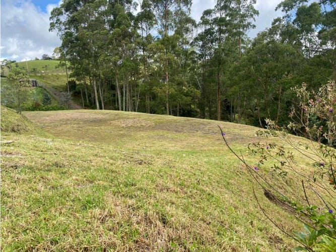 Lote en venta en Pantanillo, El Retiro, 2517 m² · foto 3 de 6