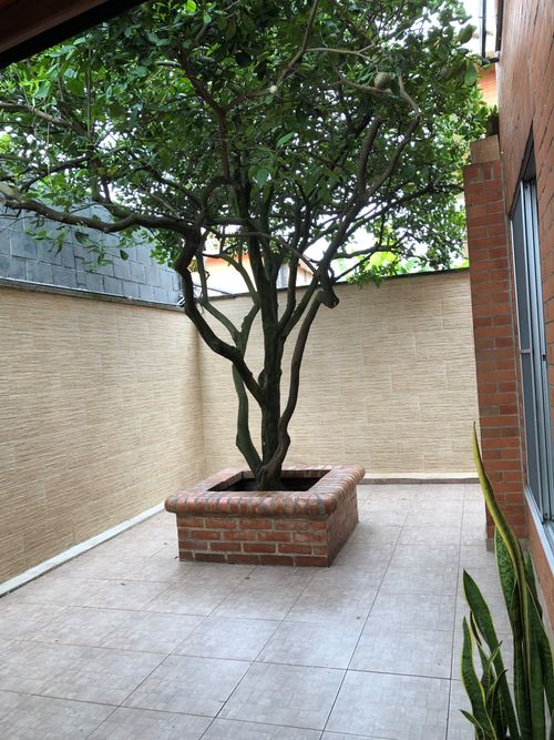 Casa de 4 alcobas en venta en El Castillo, Jamundí, 180 m² · foto 11 de 20