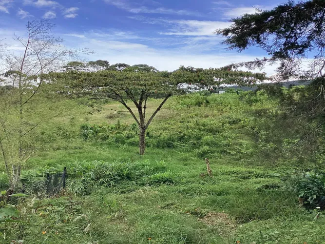 Lote en venta en El Carmen de Viboral, 20720 m² · foto 2 de 7