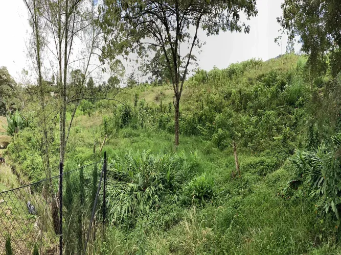Lote en venta en El Carmen de Viboral, 20720 m² · foto 3 de 7