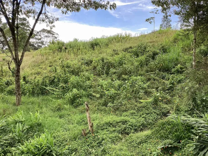 Lote en venta en El Carmen de Viboral, 20720 m² · foto 4 de 7