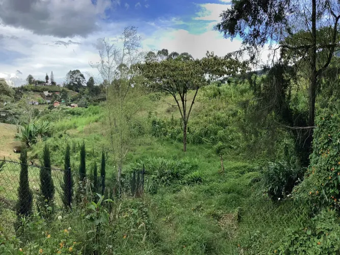 Lote en venta en El Carmen de Viboral, 20720 m² · foto 6 de 7