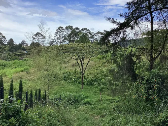 Lote en venta en El Carmen de Viboral, 20720 m² · foto 7 de 7