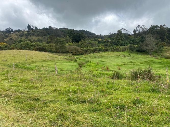 Finca en venta en El Salitre, La Calera, 40832 m² · foto 7 de 19