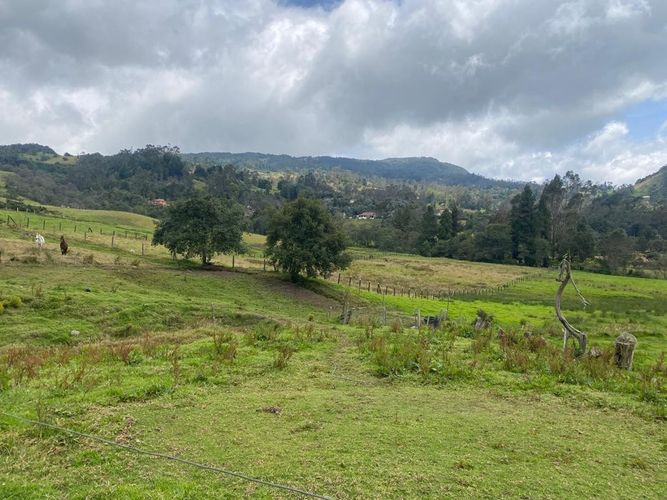 Finca en venta en El Salitre, La Calera, 40832 m² · foto 9 de 19