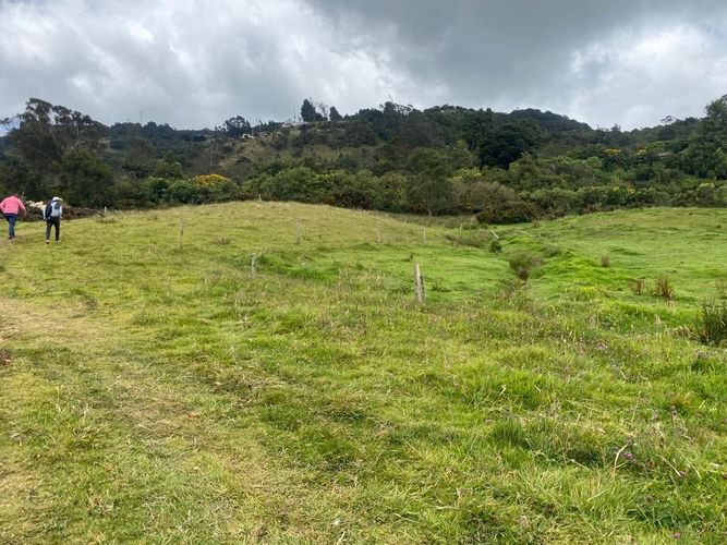 Finca en venta en El Salitre, La Calera, 40832 m² · foto 8 de 19