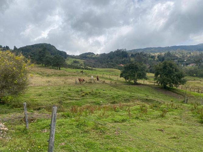 Finca en venta en El Salitre, La Calera, 40832 m² · foto 4 de 19