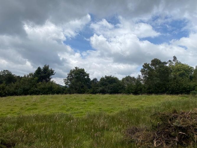 Finca en venta en El Salitre, La Calera, 40832 m² · foto 11 de 19