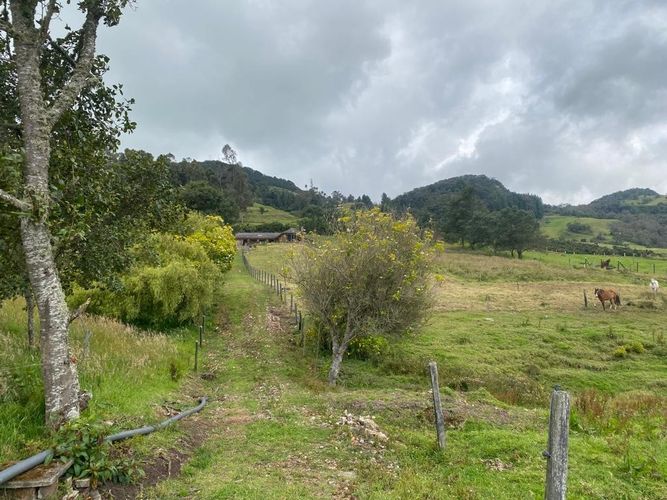 Finca en venta en El Salitre, La Calera, 40832 m² · foto 12 de 19