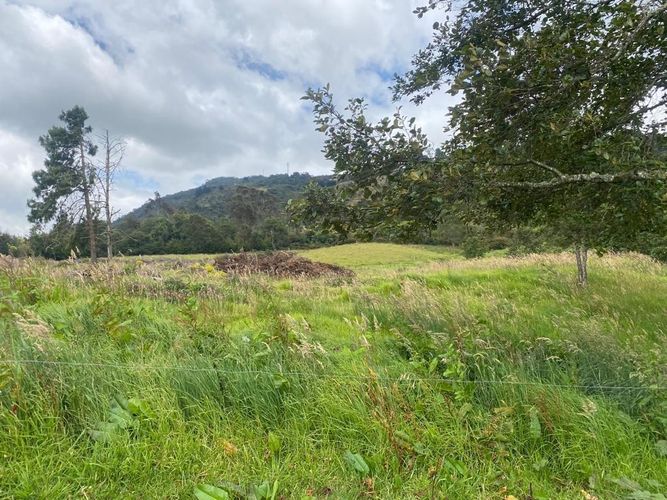 Finca en venta en El Salitre, La Calera, 40832 m² · foto 15 de 19