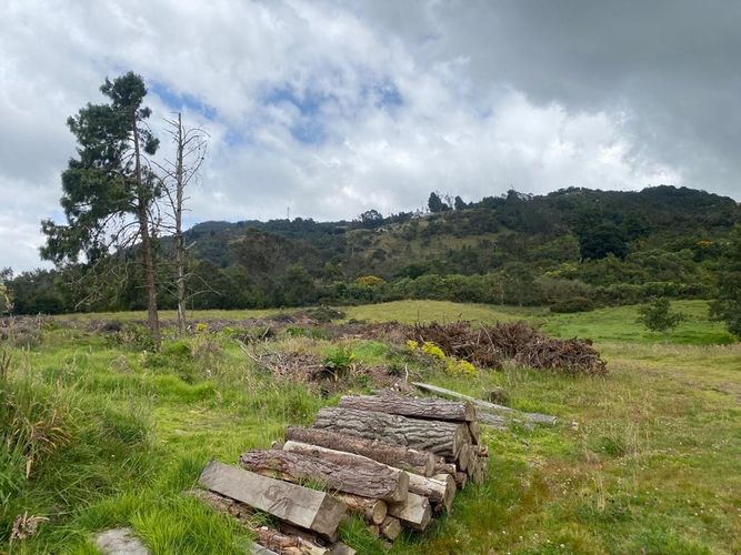 Finca en venta en El Salitre, La Calera, 40832 m² · foto 17 de 19