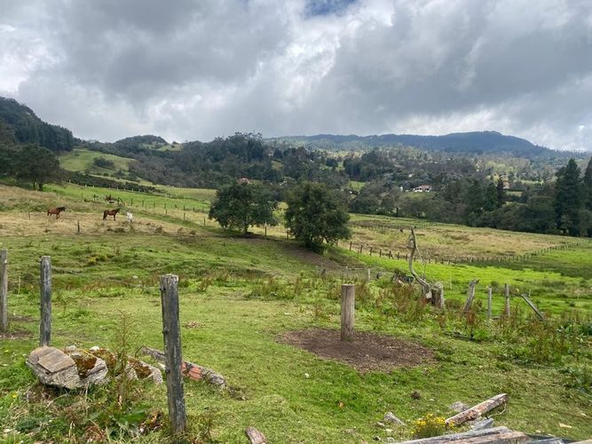 Finca en venta en El Salitre, La Calera, 40832 m² · foto 18 de 19