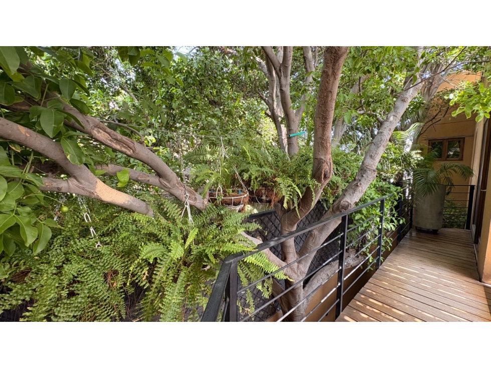 Casa en venta en Centro, Santa Marta · foto 15 de 24