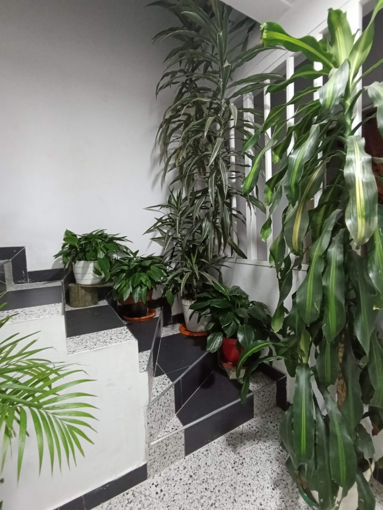 Casa en venta en La Gaitana, Bogotá · foto 19 de 24
