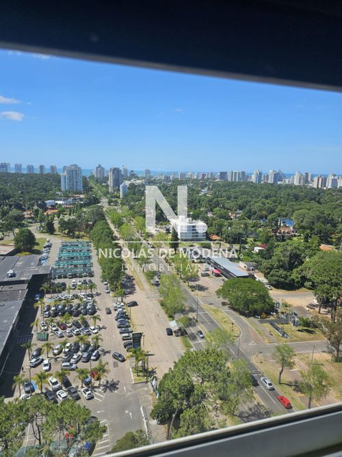 Foto 2 de 30
