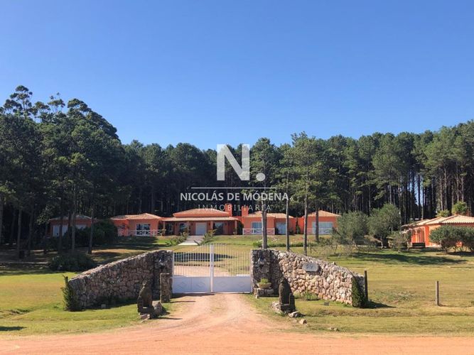 Foto 2 de 30