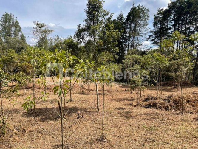 Lote en venta en Piedras Blancas, Guarne, 9300 m² · foto 9 de 14