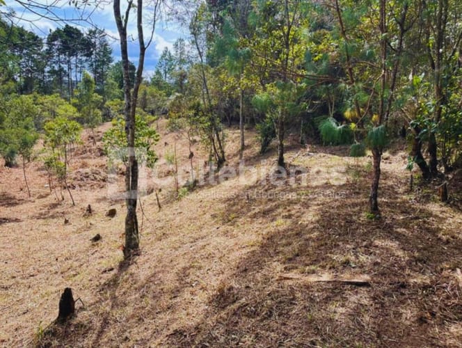 Lote en venta en Piedras Blancas, Guarne, 9300 m² · foto 10 de 14