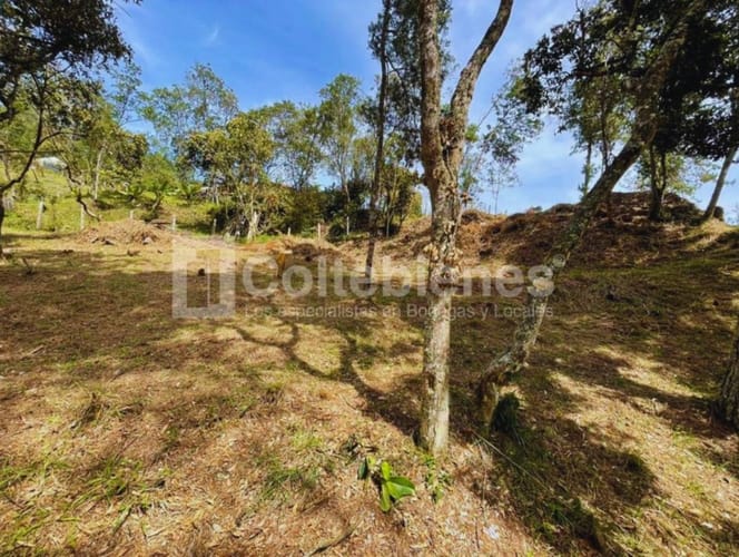 Lote en venta en Piedras Blancas, Guarne, 9300 m² · foto 11 de 14