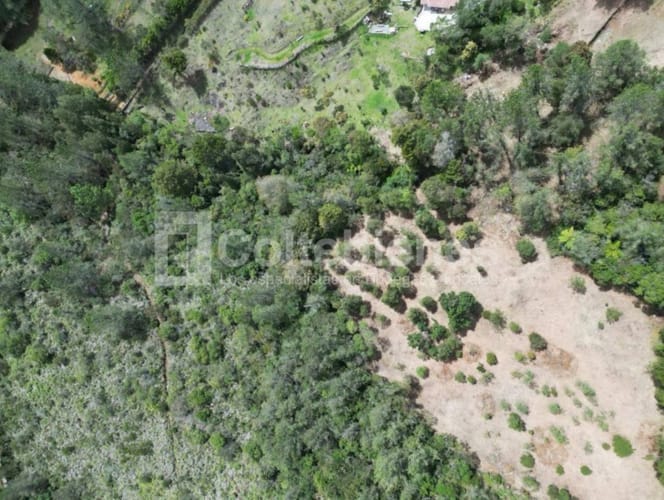 Lote en venta en Piedras Blancas, Guarne, 9300 m² · foto 14 de 14