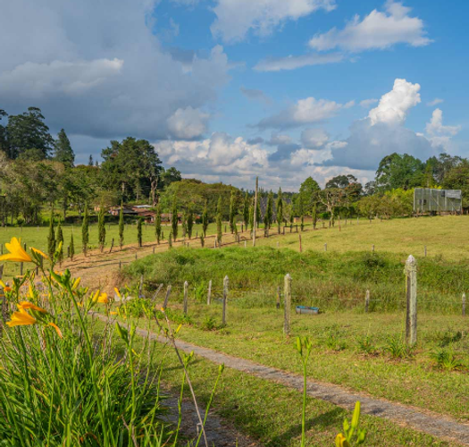 Lote en venta en Cabeceras De Llanogrande, Rionegro, 1000 m² · foto 2 de 9