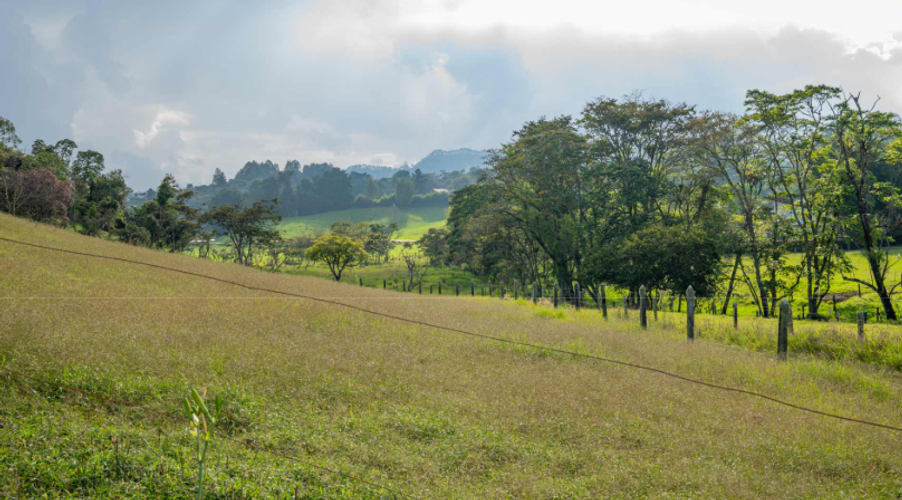 Lote en venta en Cabeceras De Llanogrande, Rionegro, 1000 m² · foto 5 de 9