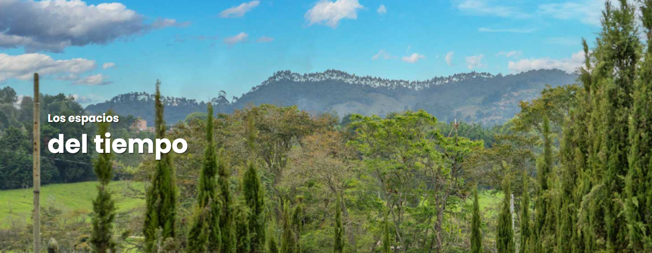 Lote en venta en Cabeceras De Llanogrande, Rionegro, 1000 m² · foto 6 de 9
