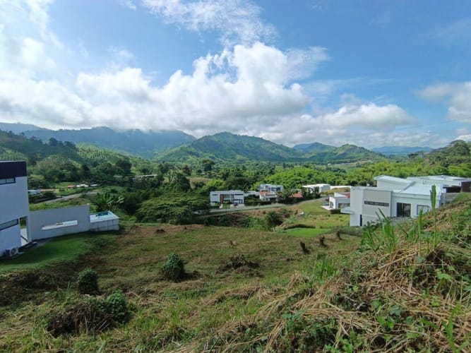 Lote en venta en Avenida Santander, Manizales, 2663 m² · foto 3 de 24