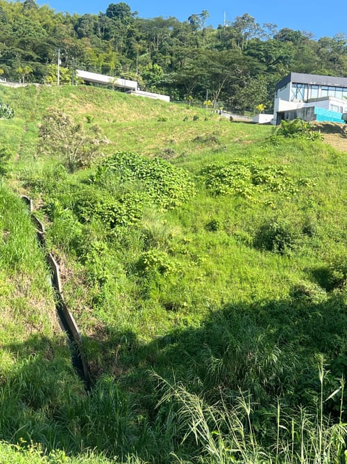 Lote en venta en Avenida Santander, Manizales, 2663 m² · foto 17 de 24